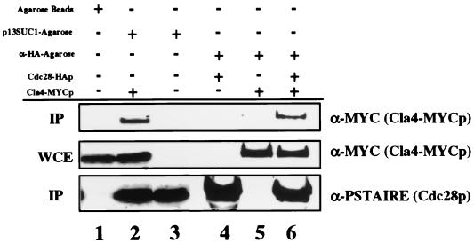 FIG. 5