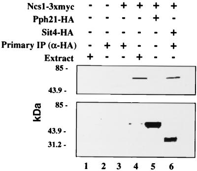 FIG. 8