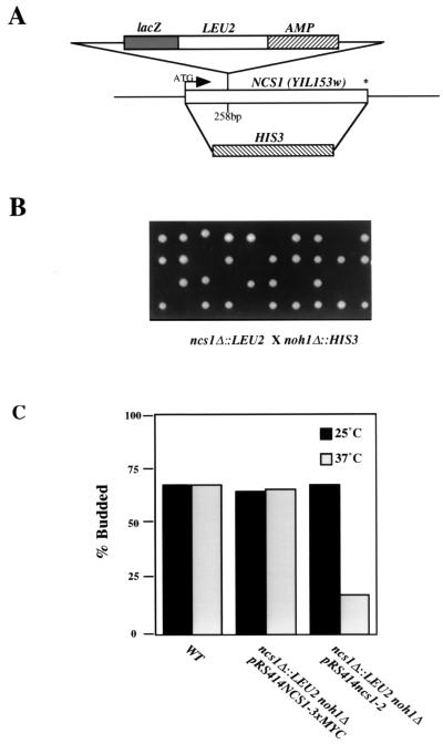 FIG. 6