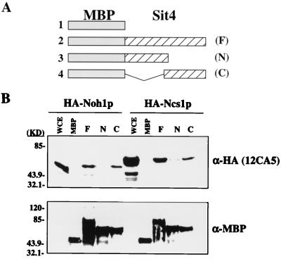 FIG. 7