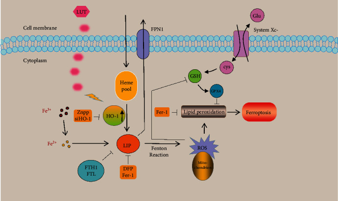 Figure 10