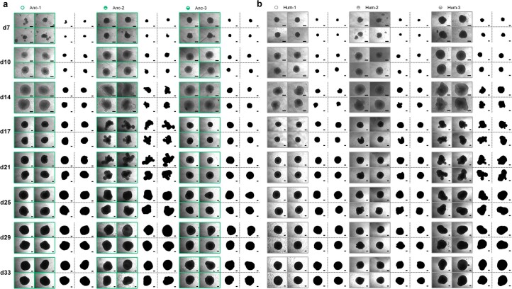 Extended Data Fig. 10