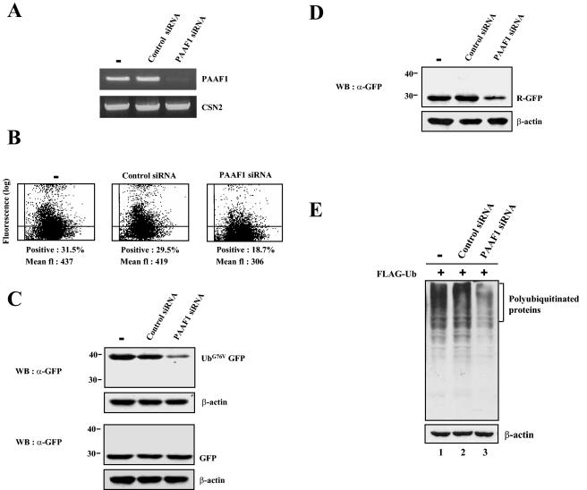 FIG. 8.