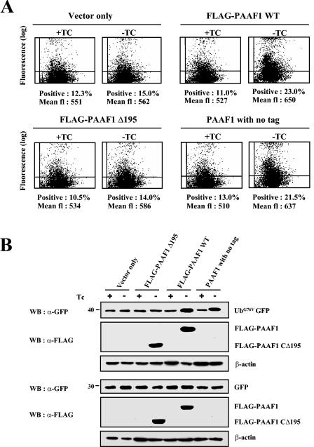 FIG. 7.