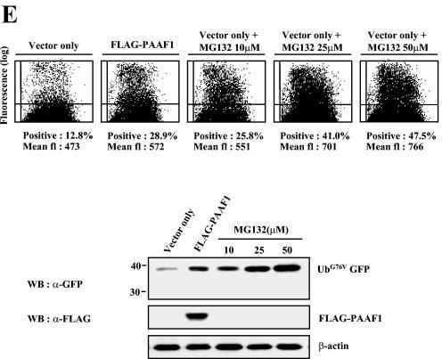 FIG. 7.