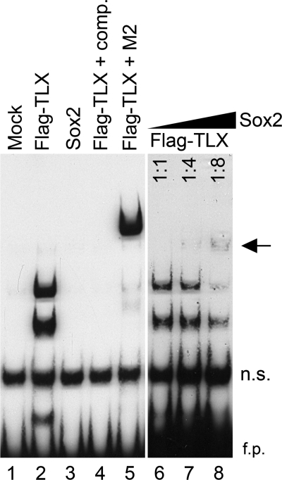 FIGURE 4.