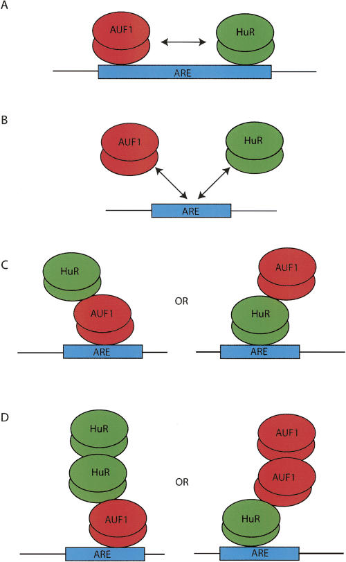 FIGURE 9.