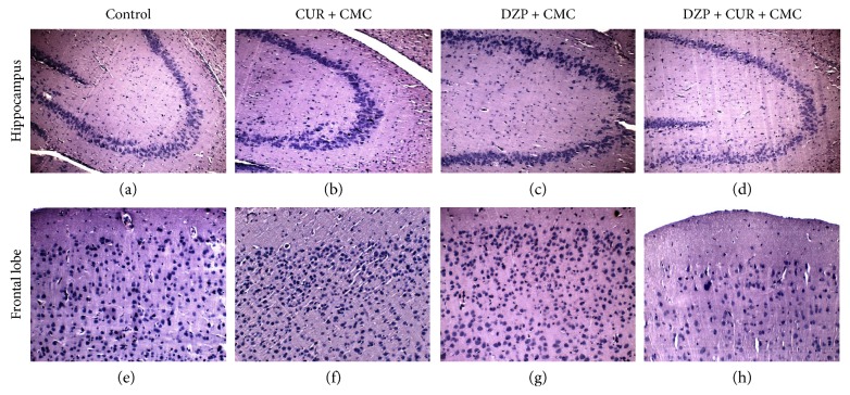 Figure 10