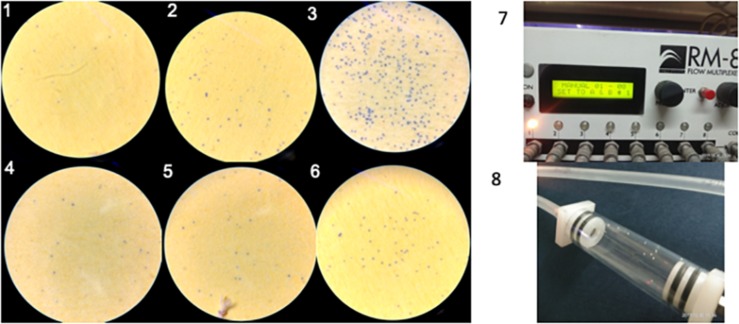 FIGURE 4