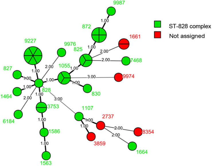 FIGURE 2