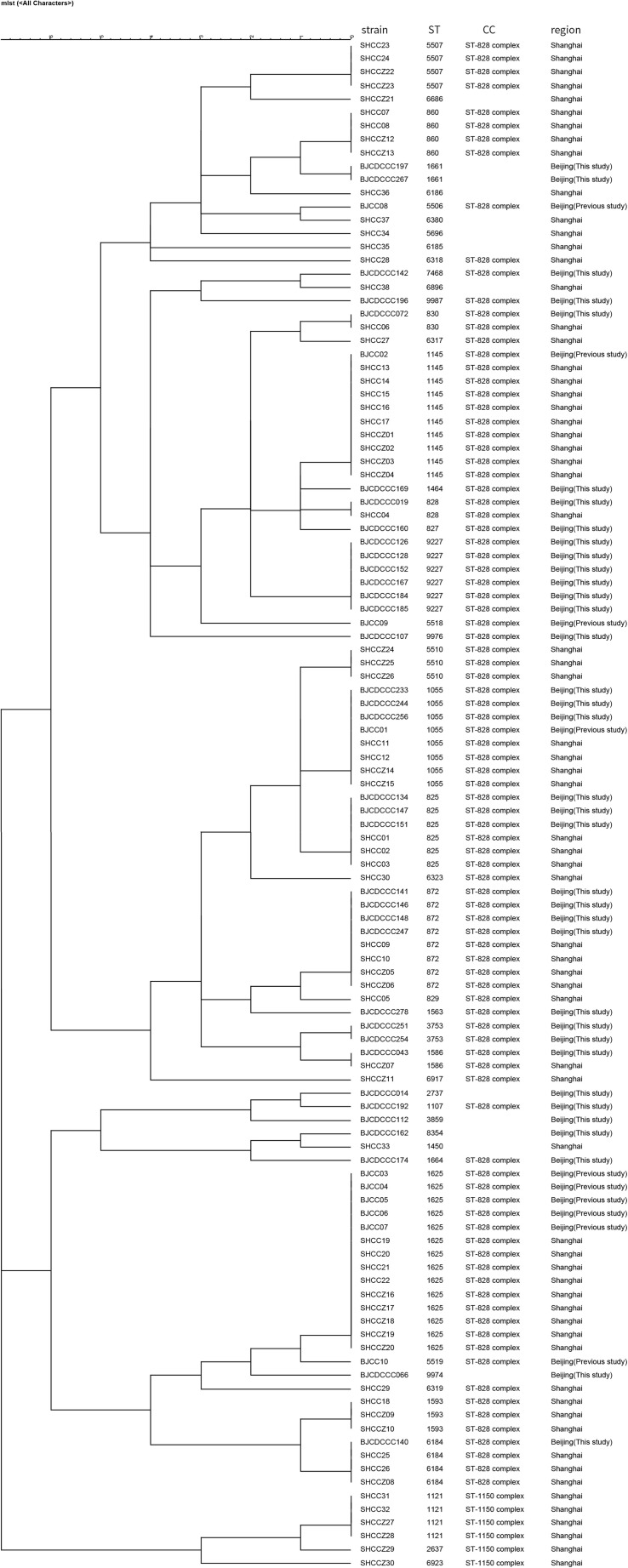 FIGURE 4