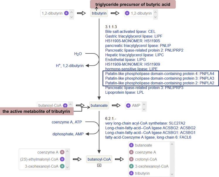 Supplemental Figure S1