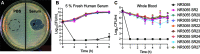 FIG 3