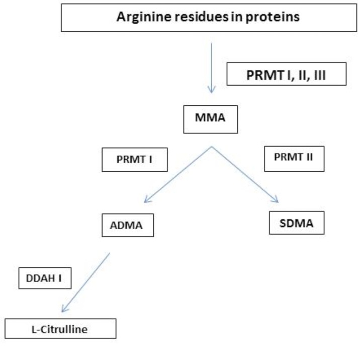 Fig. (2)