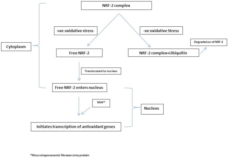 Fig. (1)