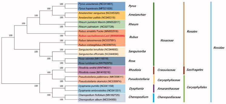 Figure 1.