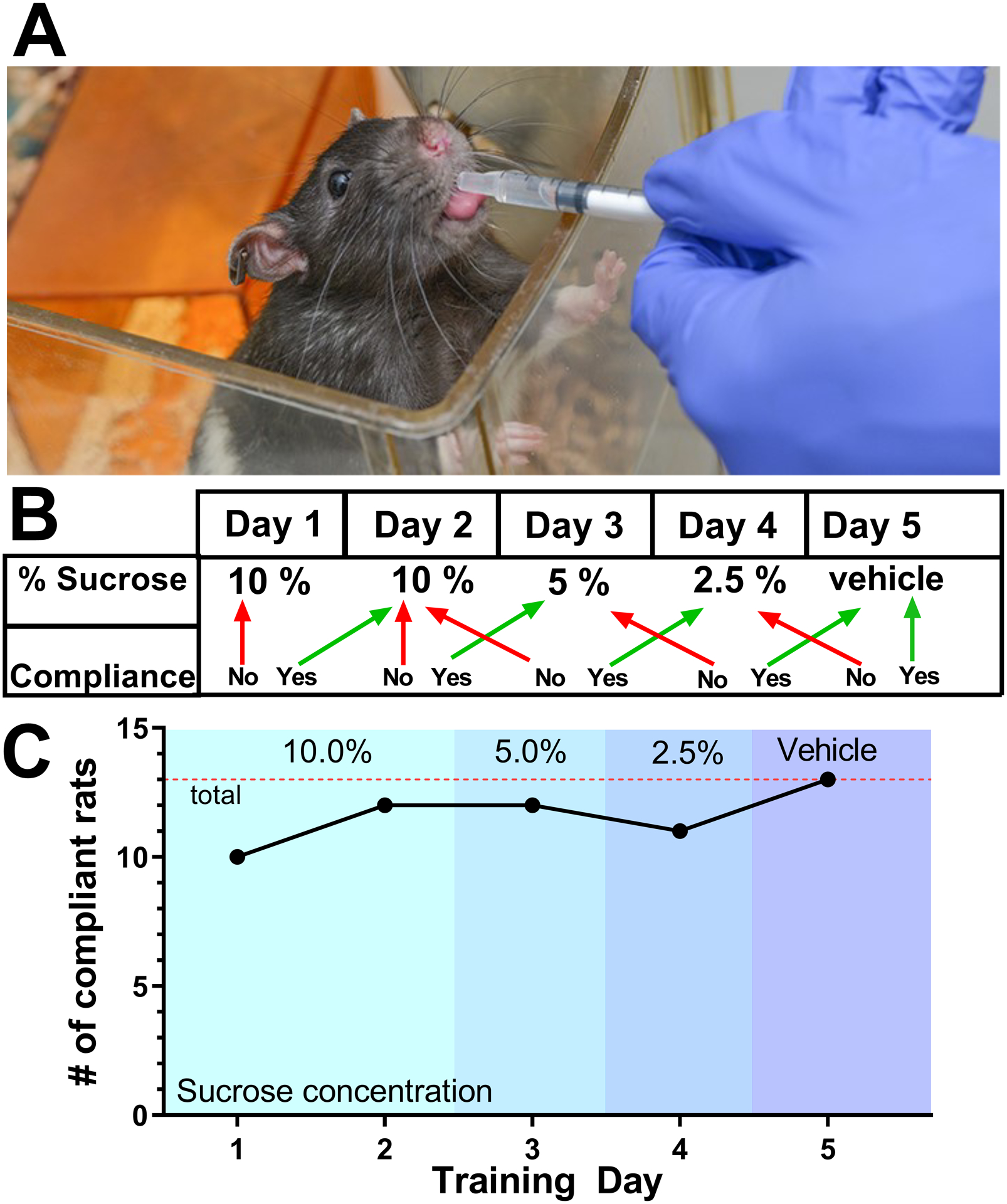 Figure 1: