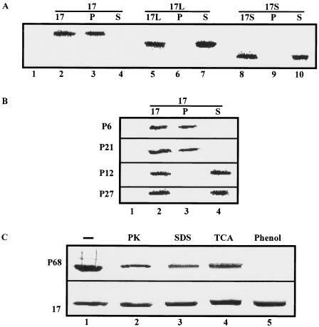 FIG. 5.