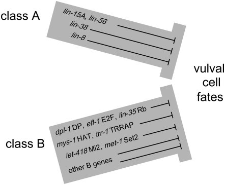 Figure 2.—