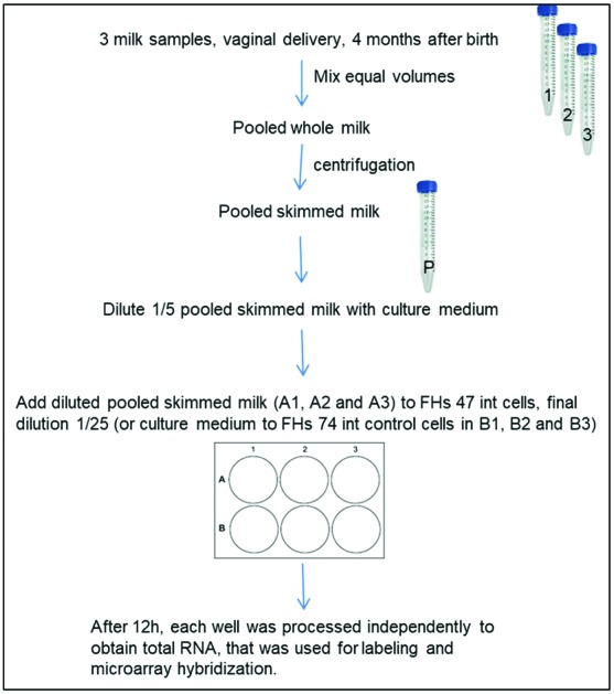 graphic file with name c8fo01107a-ga.jpg