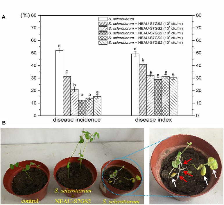 FIGURE 4