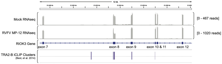 Figure 4