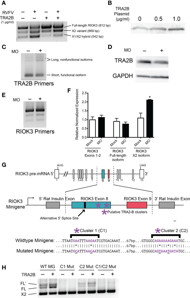 Figure 3