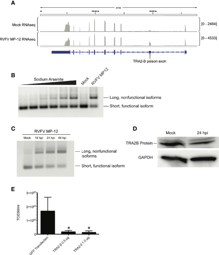 Figure 5