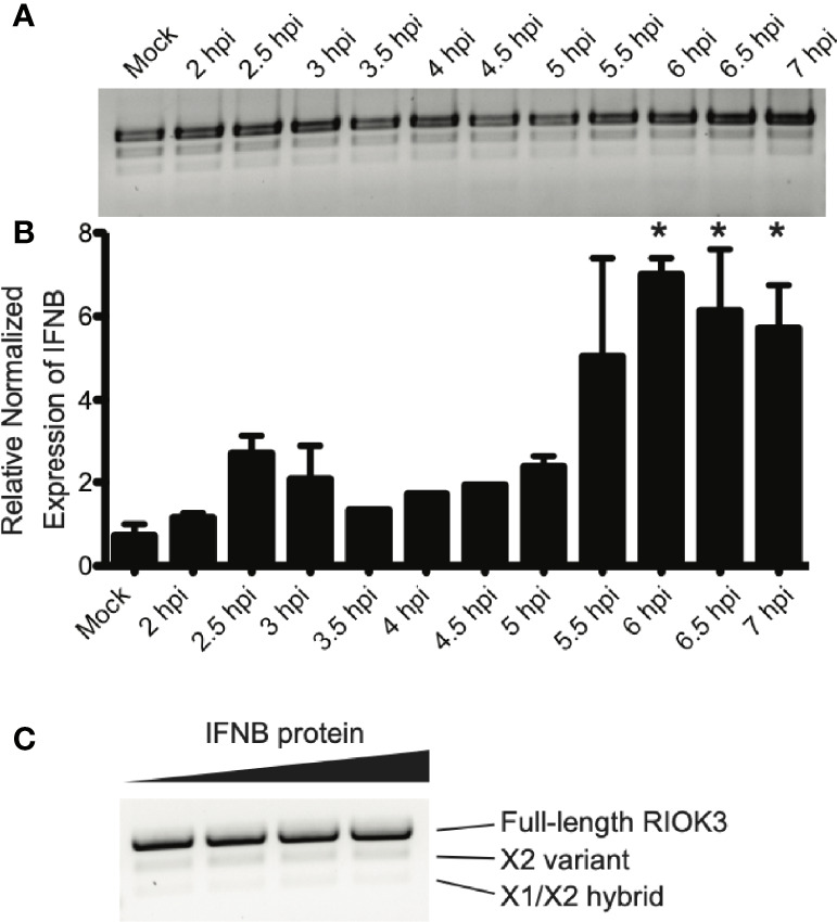 Figure 2