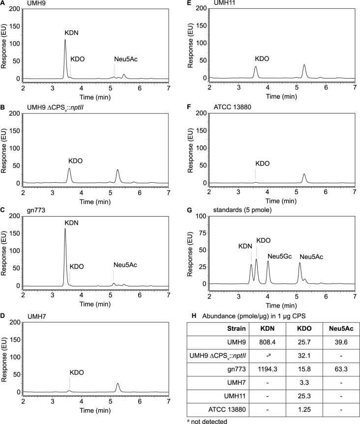 Fig 12