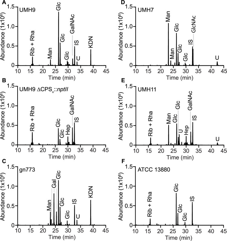 Fig 10