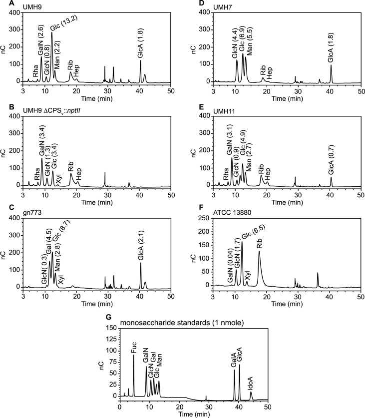 Fig 11