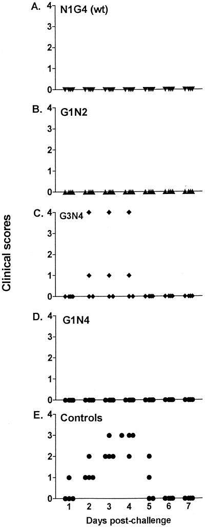 FIG. 5