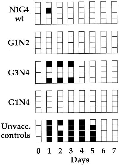 FIG. 6