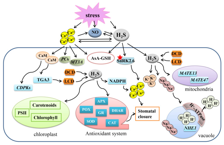 Figure 2