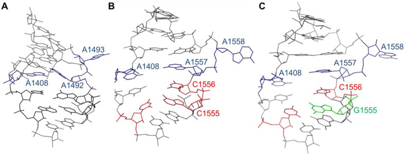 Figure 5.