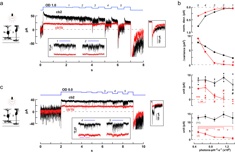 Fig. 10