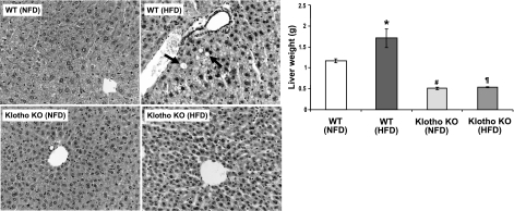 Figure 9.