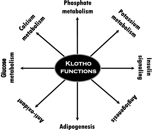 Figure 10.