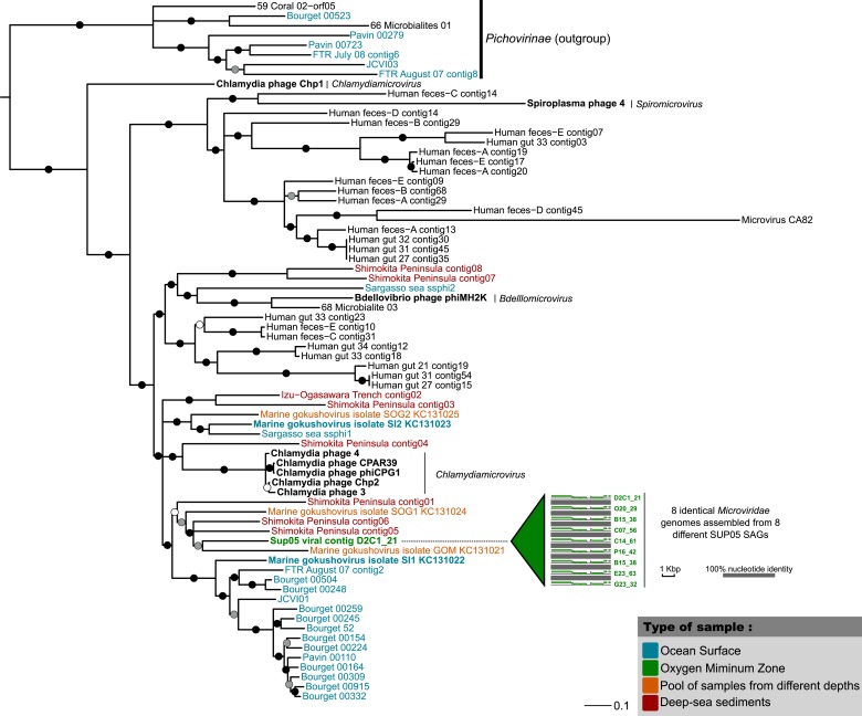 Figure 2—figure supplement 2.