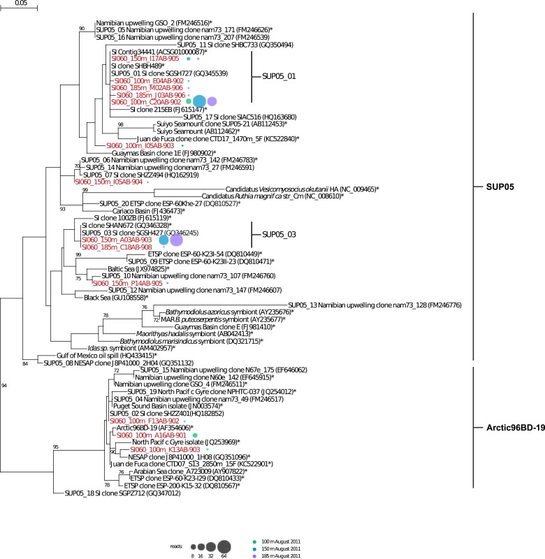 Figure 1—figure supplement 2.