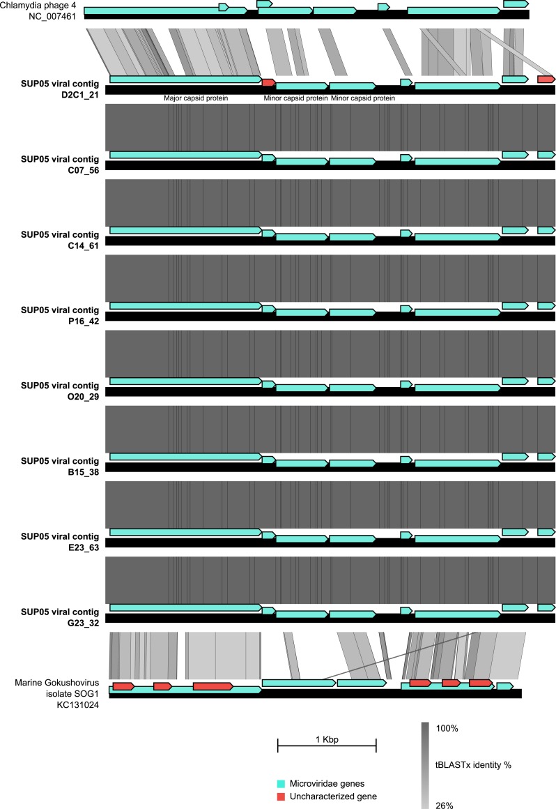 Figure 2—figure supplement 3.