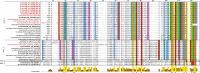 Figure 5—figure supplement 1.