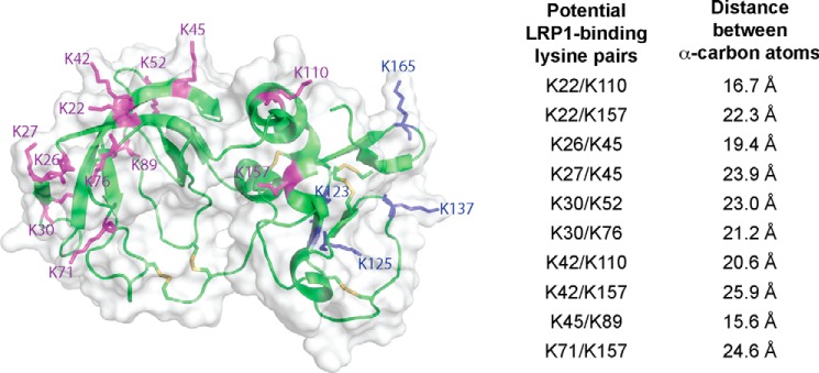 FIGURE 1.