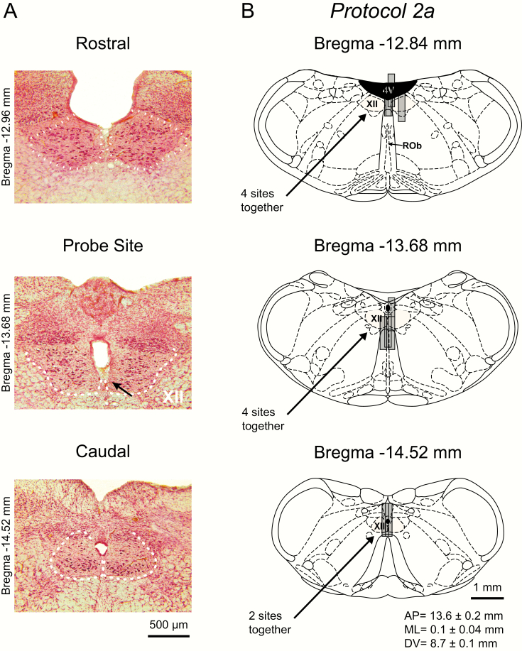 Figure 6.