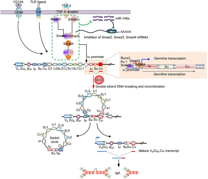 Figure 10