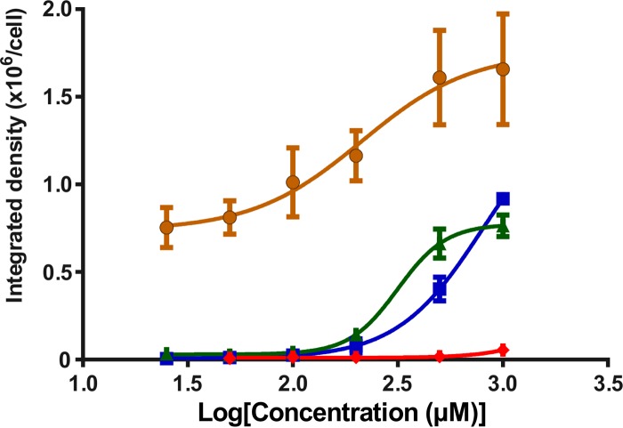 FIG 3