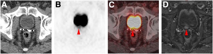 FIGURE 1.