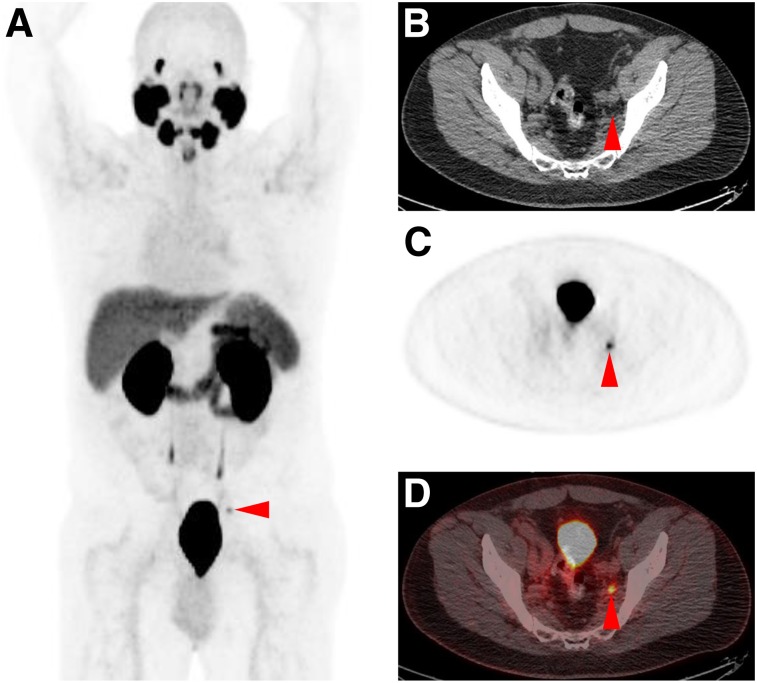 FIGURE 2.