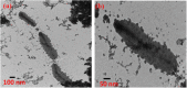 Fig. 9